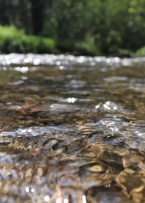 River Water River Water